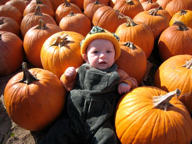 Baby in a Pumpkin Patch with a Turtle Hat